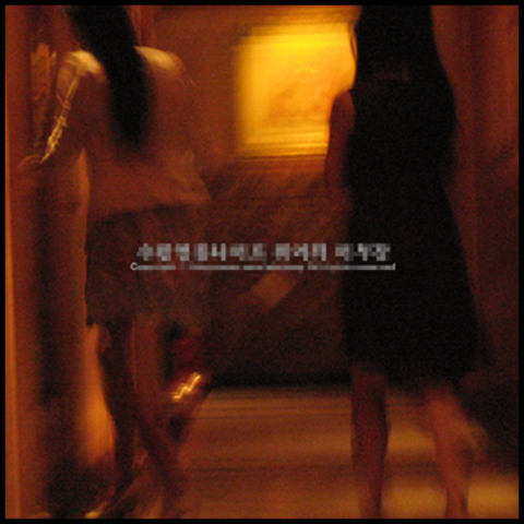 청담나이트1 강호동@